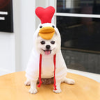 cute-fruit-dog-clothes.jpg