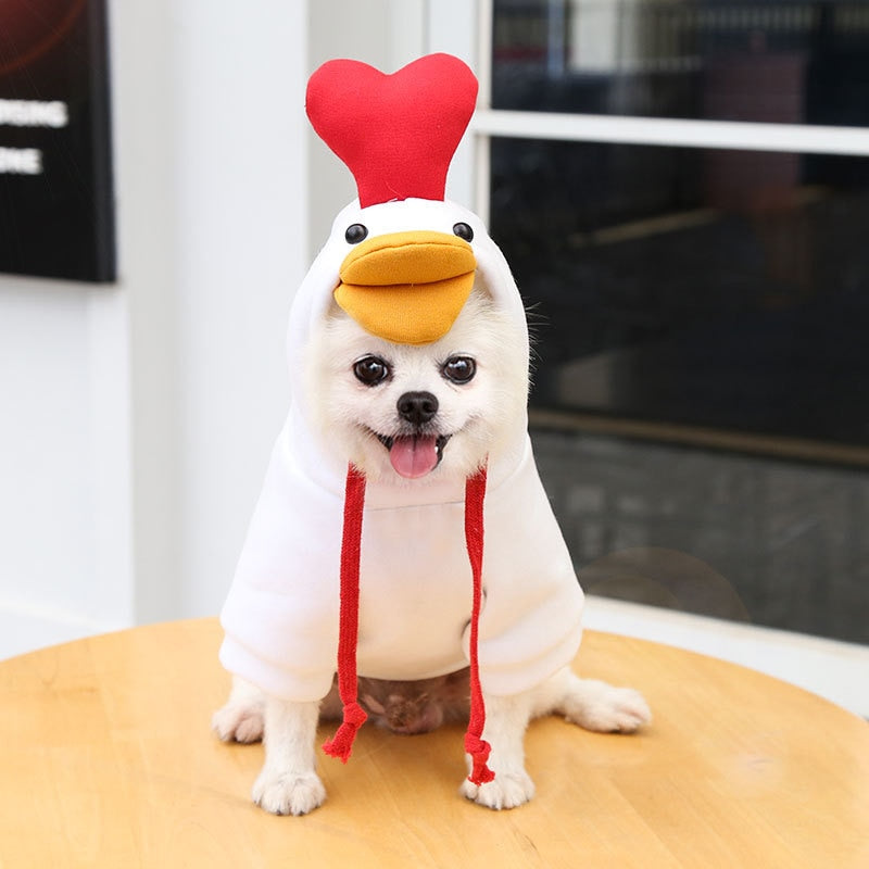 cute-fruit-dog-clothes.jpg