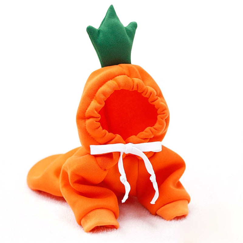 cute-fruit-dog-clothes.jpg