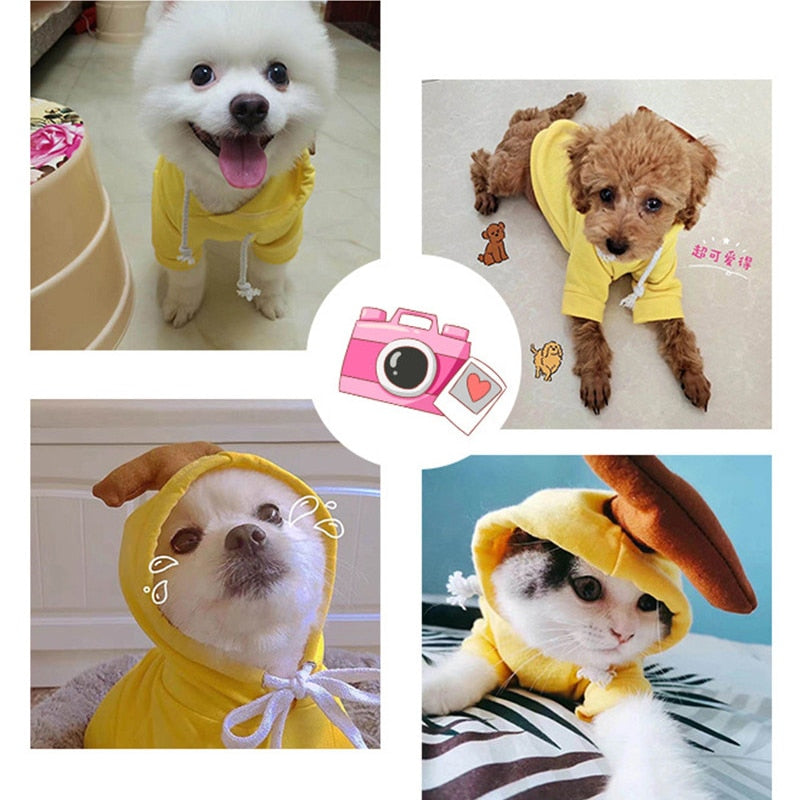 cute-fruit-dog-clothes.jpg