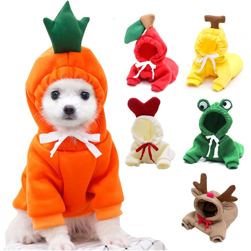 cute-fruit-dog-clothes.jpg