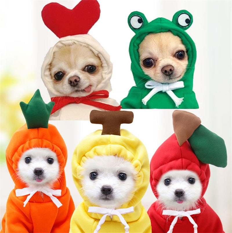 cute-fruit-dog-clothes.jpg