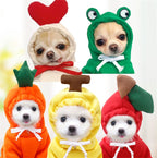 cute-fruit-dog-clothes.jpg
