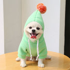 cute-fruit-dog-clothes.jpg