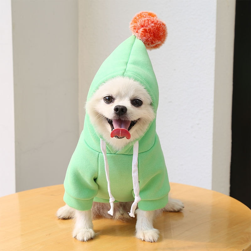 cute-fruit-dog-clothes.jpg