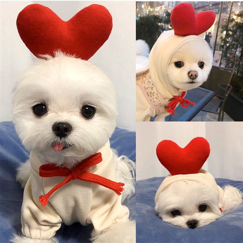 cute-fruit-dog-clothes.jpg