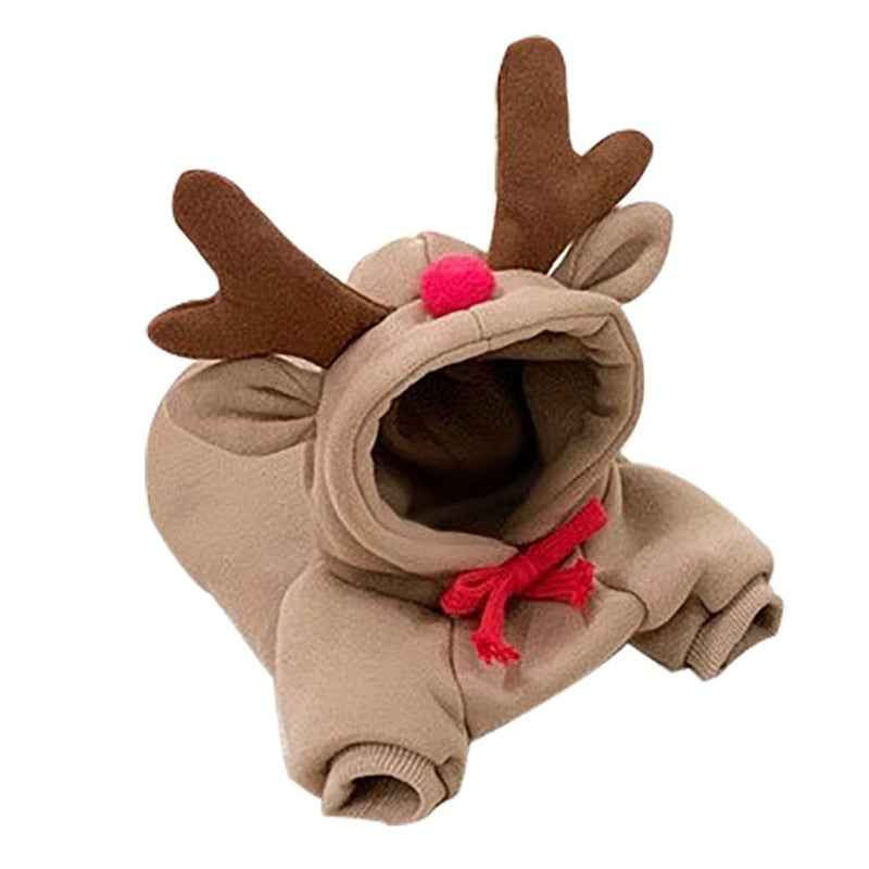 cute-fruit-dog-clothes.jpg