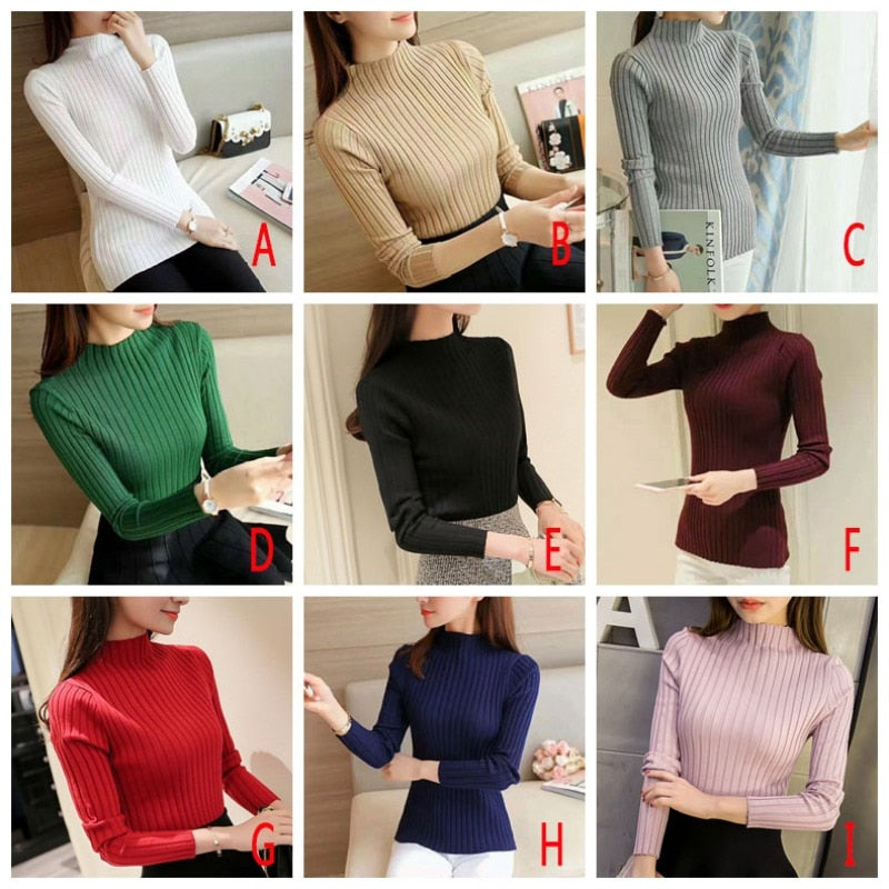 Women's Slim Knit Winter Sweaters