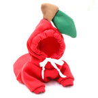 cute-fruit-dog-clothes.jpg