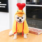 cute-fruit-dog-clothes.jpg
