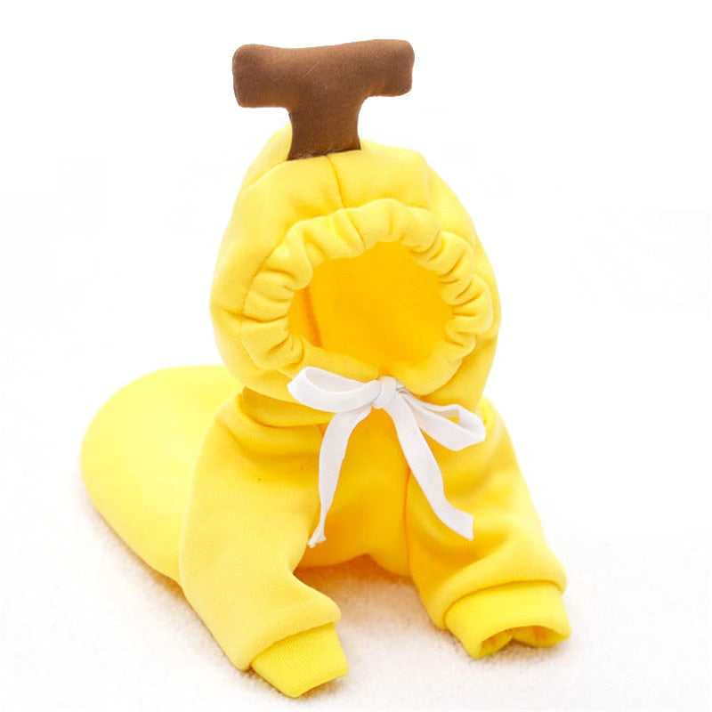 cute-fruit-dog-clothes.jpg