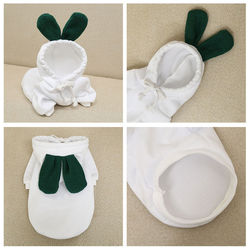 cute-fruit-dog-clothes.jpg
