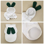 cute-fruit-dog-clothes.jpg