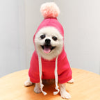 cute-fruit-dog-clothes.jpg