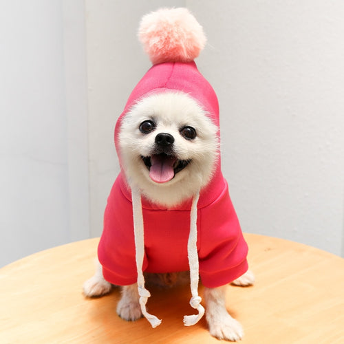 cute-fruit-dog-clothes.jpg