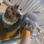 hugger-cat-slippers.jpg